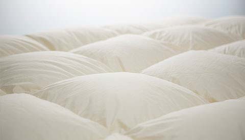 羽毛布団 羽毛布団